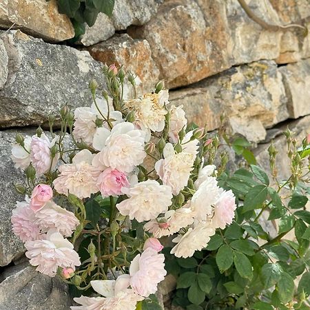 Trulli Resort Aia Piccola Алберобело Екстериор снимка