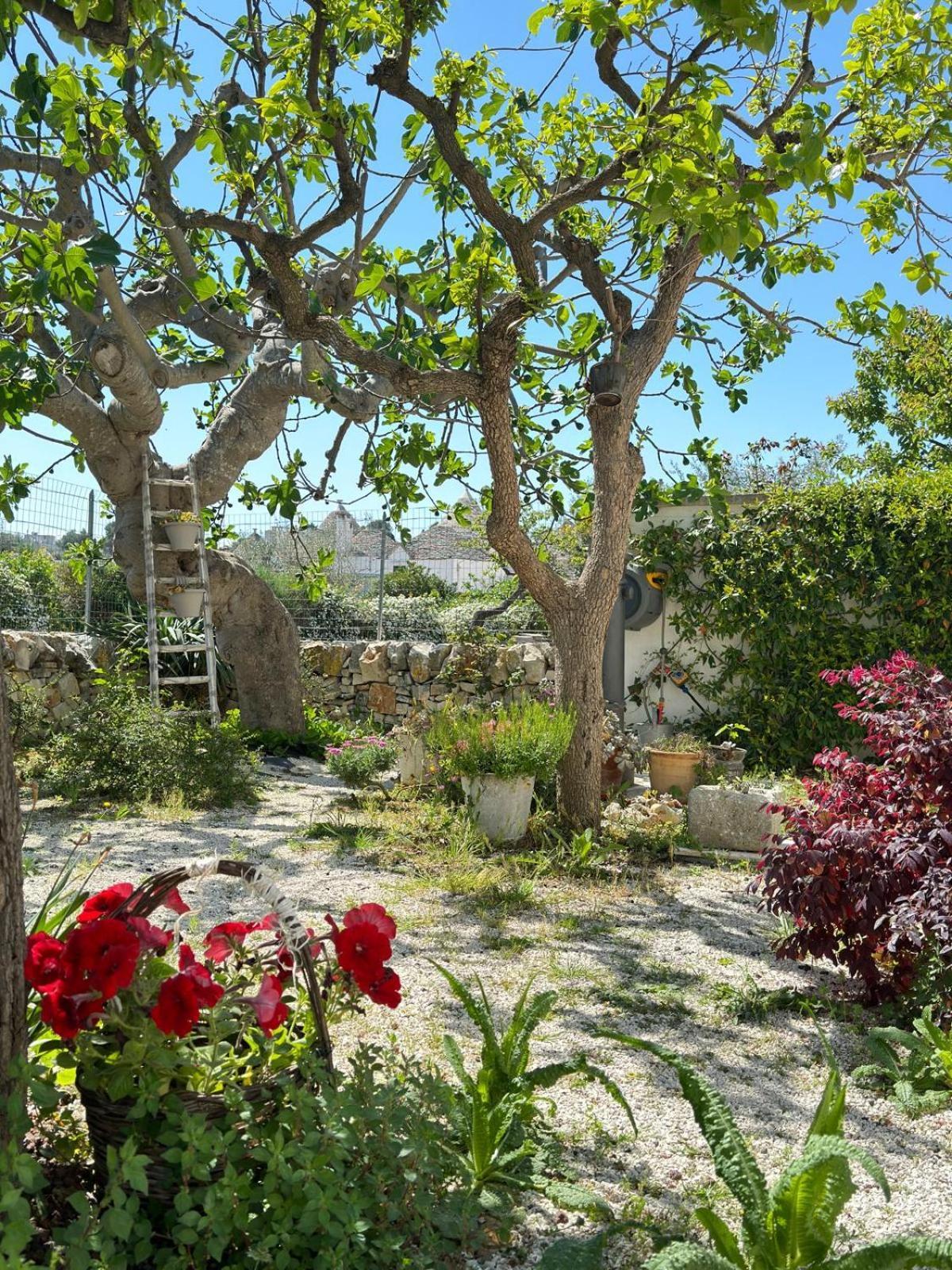 Trulli Resort Aia Piccola Алберобело Екстериор снимка