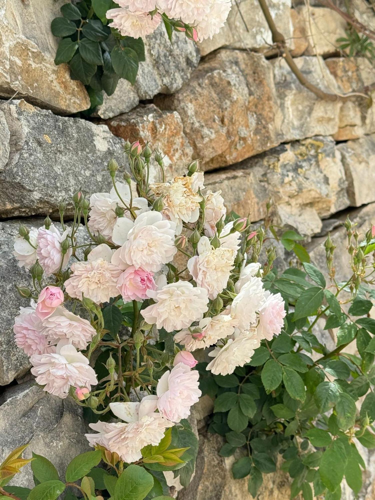 Trulli Resort Aia Piccola Алберобело Екстериор снимка